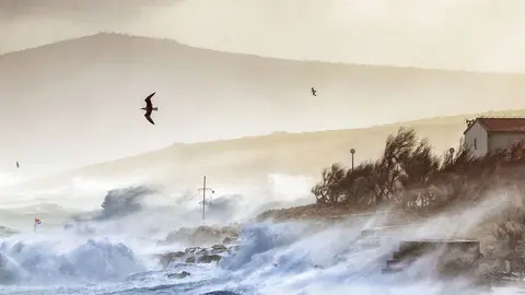 cambio-climatico-onu-olas_opt