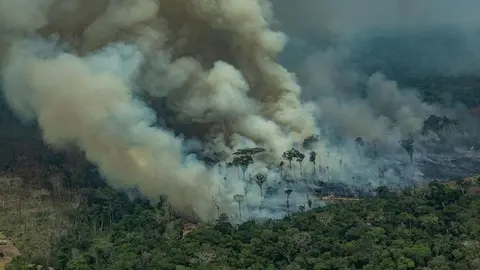 amazonas-greenpeace-min_opt