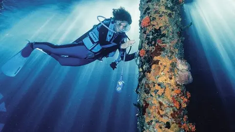 sylvia-earle-por-david-doubilet_3042aaa1_1280x720_opt