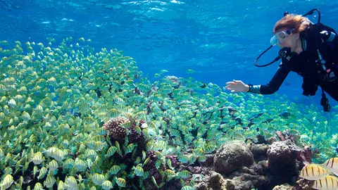 Palmyra-Atoll-and-Dr-Sylvia-Earle-&copy;-Bryce-Groark-Hope-Spot-Palmyra-1