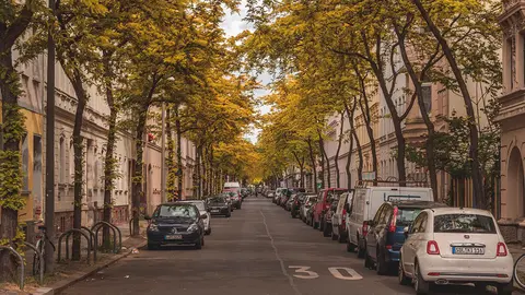 ciudades-arboles-pixabay