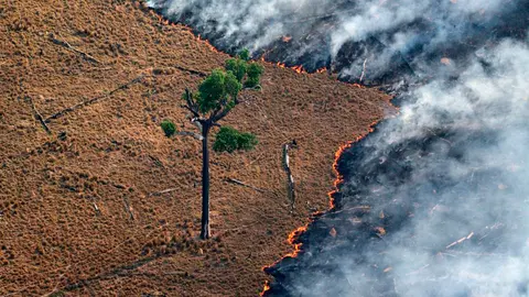incendio-amazonas-tiempo-en-recuperarse