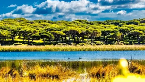 river-2551633_1280_opt