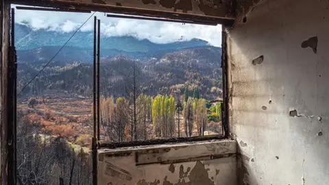golondrinas-incendio