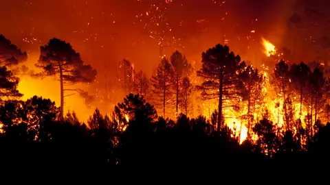incendio-guadalajara