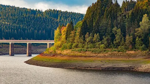 presa-pixabay
