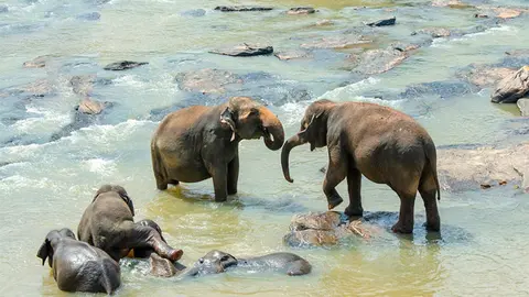 sri-lanka