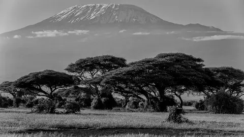 kilimanjaro-tanzania-piqsels