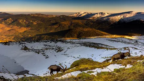 sierra-guadarrama-javier-abalos-flickr-licencia-cc