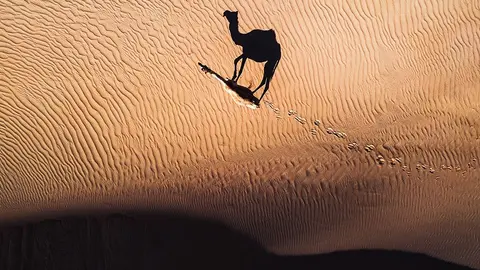 Abstract-Aerial-Art-Riding-Solo_opt