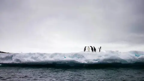La-superficie-de-hielo-marino-antartico-alcanza-un-nuevo-minimo-historico (1) (1)