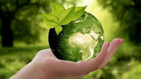 eco (1)