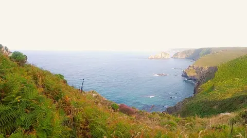Salinas-2-1536x556 (1)