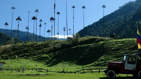 cocora-01