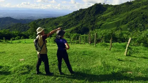cascadas-rio-verde-colombia (3) (1)