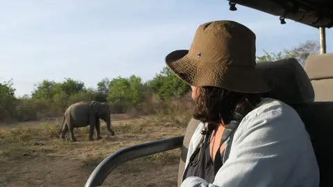 safari-elefantes-udawalawe-aldo-laura (13)