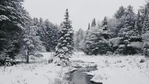 winter-jamie-scott