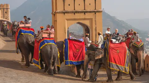 elefantes-india-jaipur-flickr