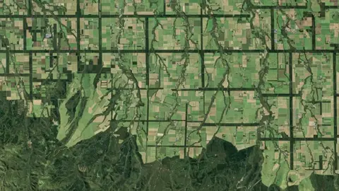 reticula forestal