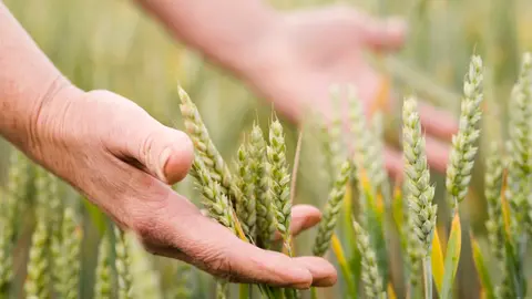 agricultura-freepik