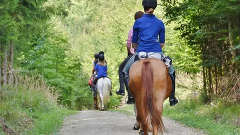 horses-3635517_1280