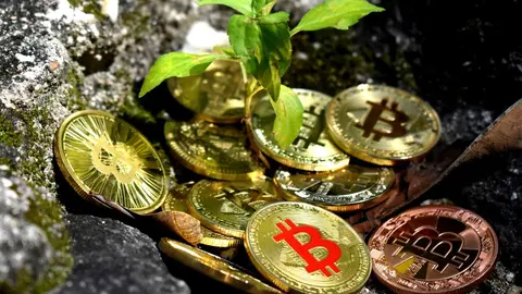 criptomoneda