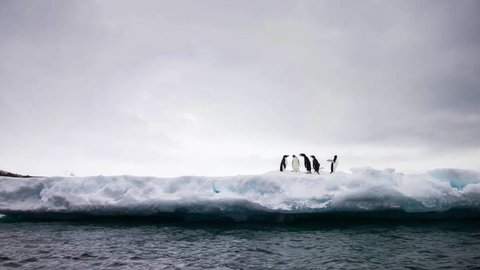 La superficie de hielo marino antártico alcanza un nuevo mínimo histórico