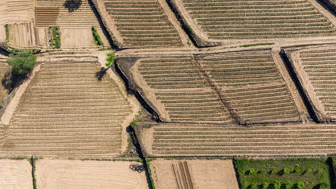 Una app en el programa Copernicus ayudará al sector agrario a prevenir los impactos del cambio climático
