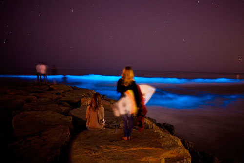 redtide1