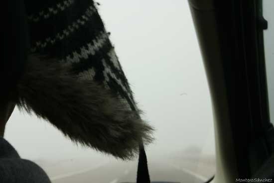 DSC0000_OutdoorMSF_-(1).ms.jpg