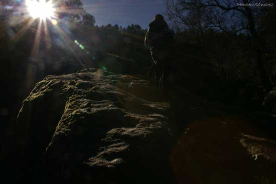 DSC0000_OutdoorMSF_-(4).ms.jpg