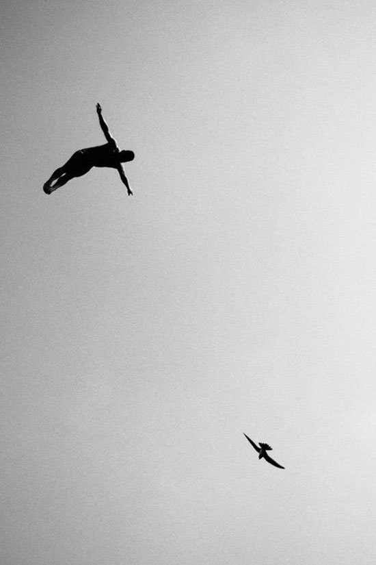 wings