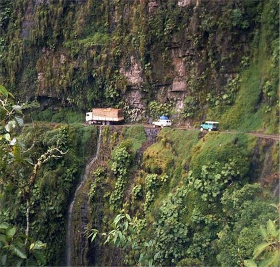 madidi1
