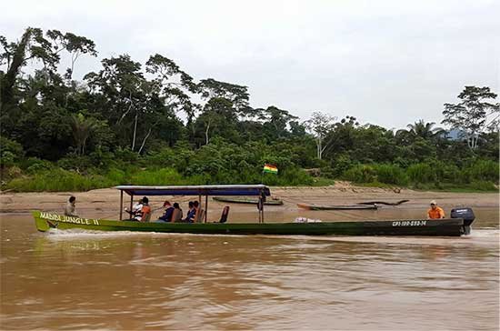 madidi3