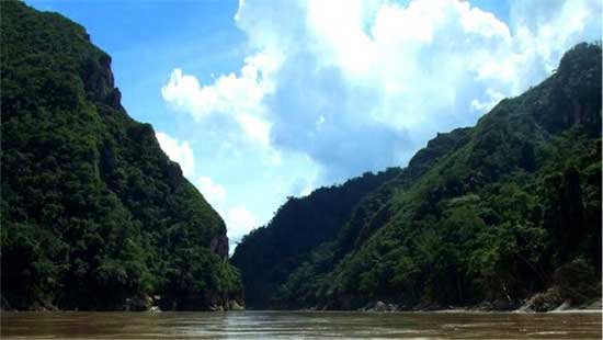 madidi4