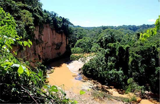 madidi5
