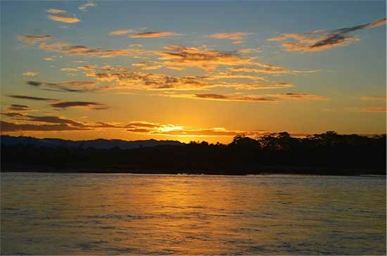 madidi6