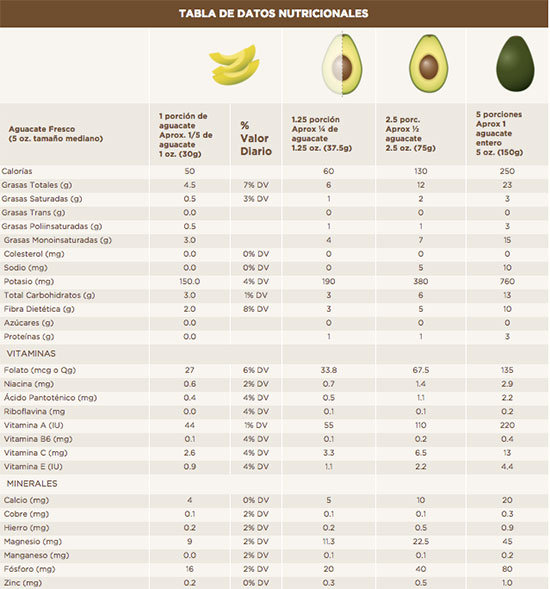 aguacate2
