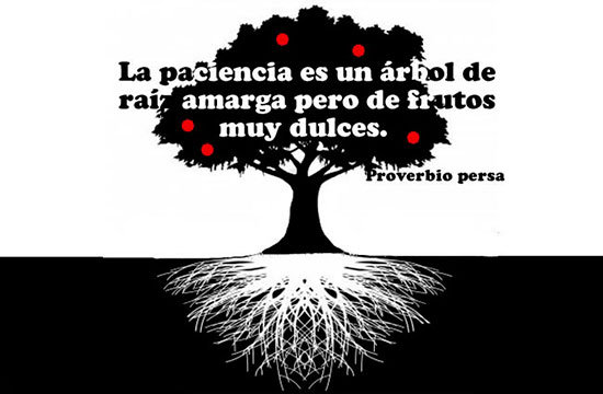 paciencia
