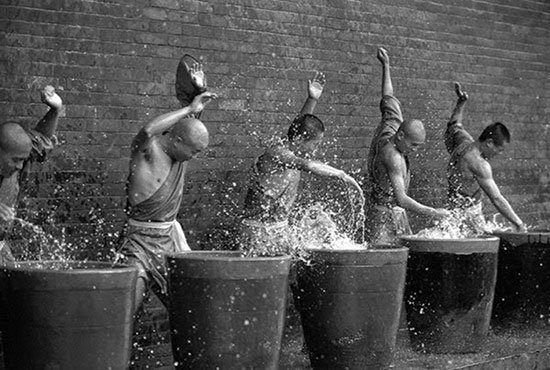 shaolin8