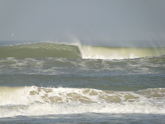 senegal3