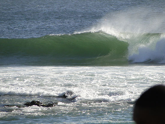 senegal5