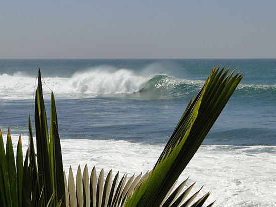 senegal12