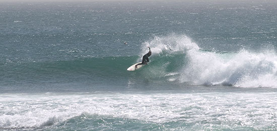 senegal24