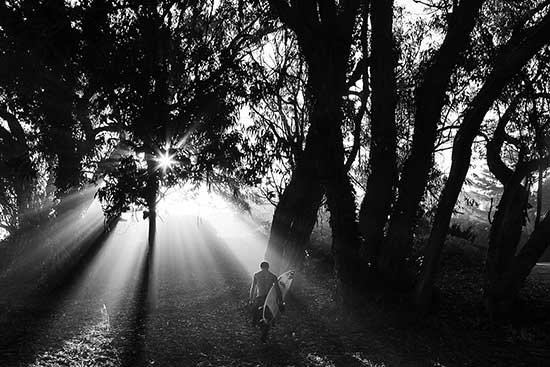 libro7