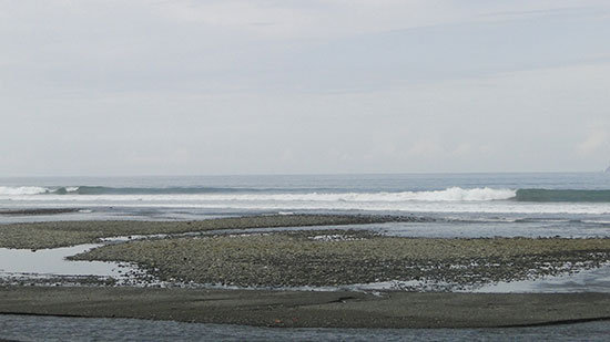 cr23