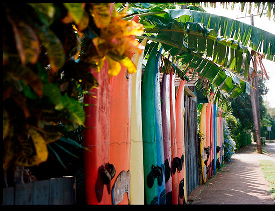 hawai1