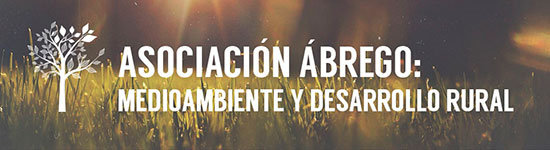 abrego