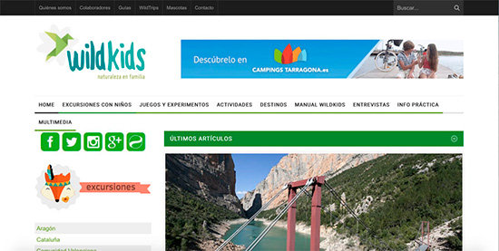 web19