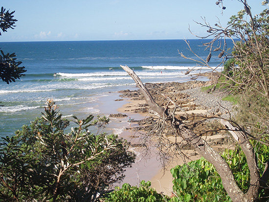 NOOSA866